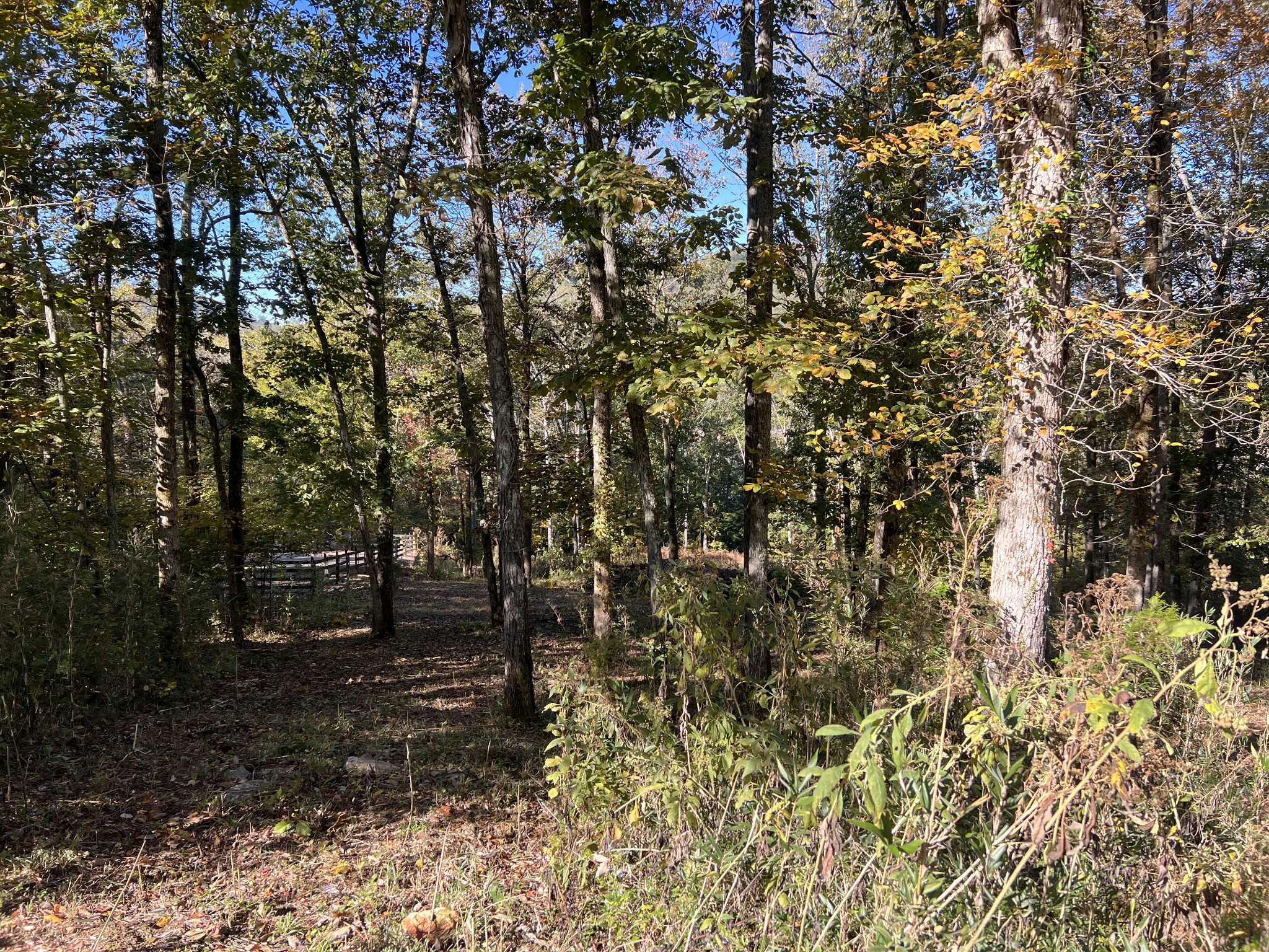 0 Shoreside Dr
