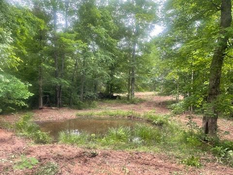 0 McCollum Road Hurricane Mills TN 37078