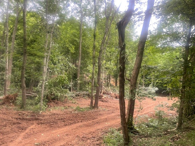 0 McCollum Road