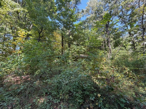 Photo of 2742 Michigan Avenue Rd NE, Cleveland, TN 37323 (MLS # 3542302)