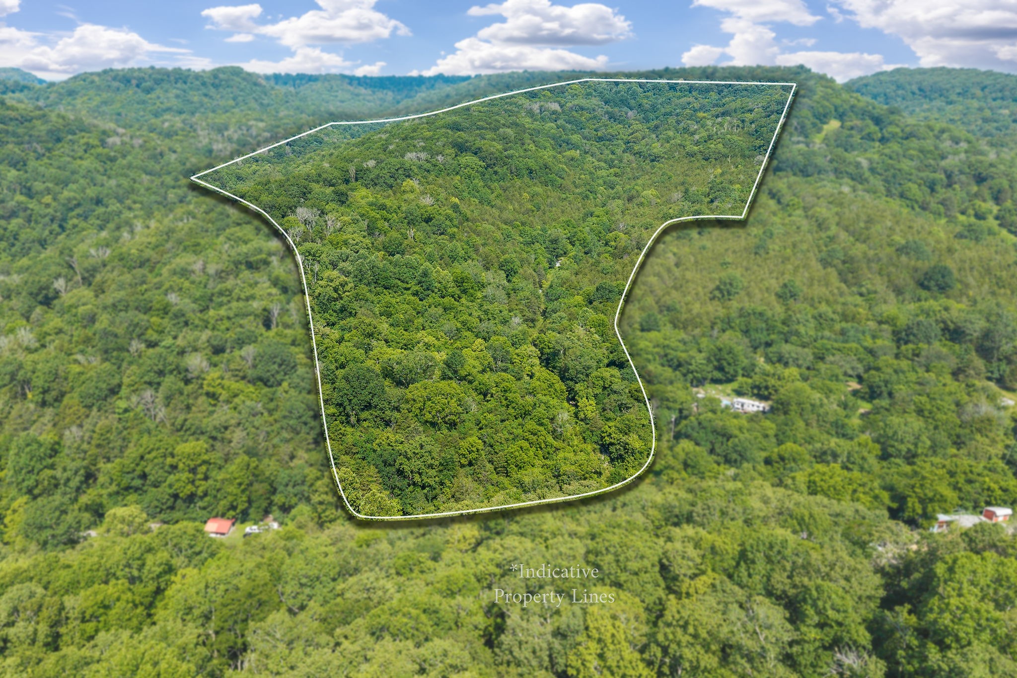 441 Pumpkin Hollow Rd