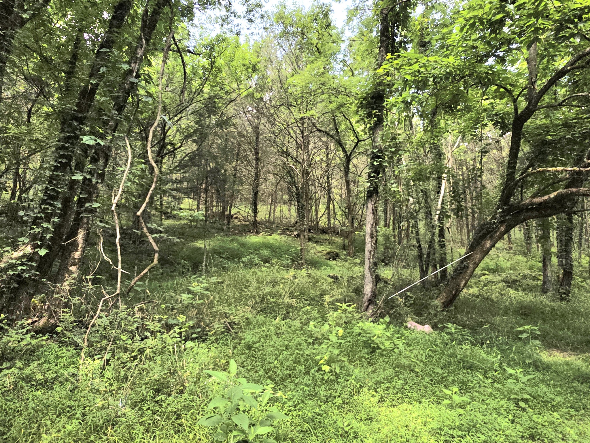 441 Pumpkin Hollow Rd