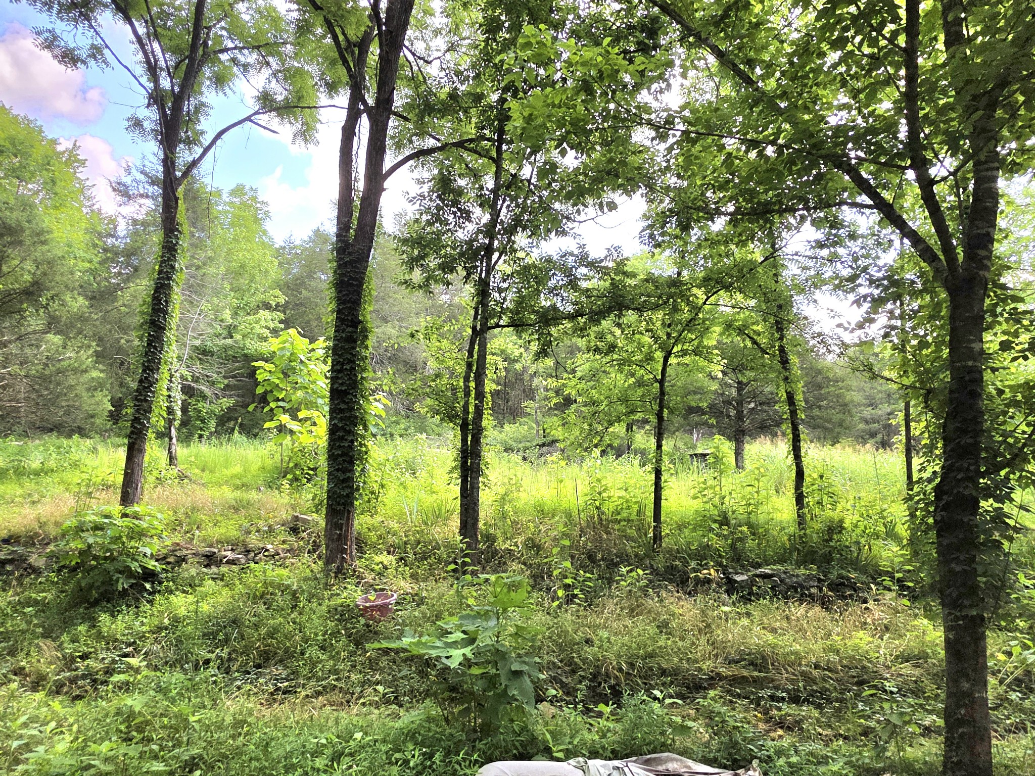 441 Pumpkin Hollow Rd
