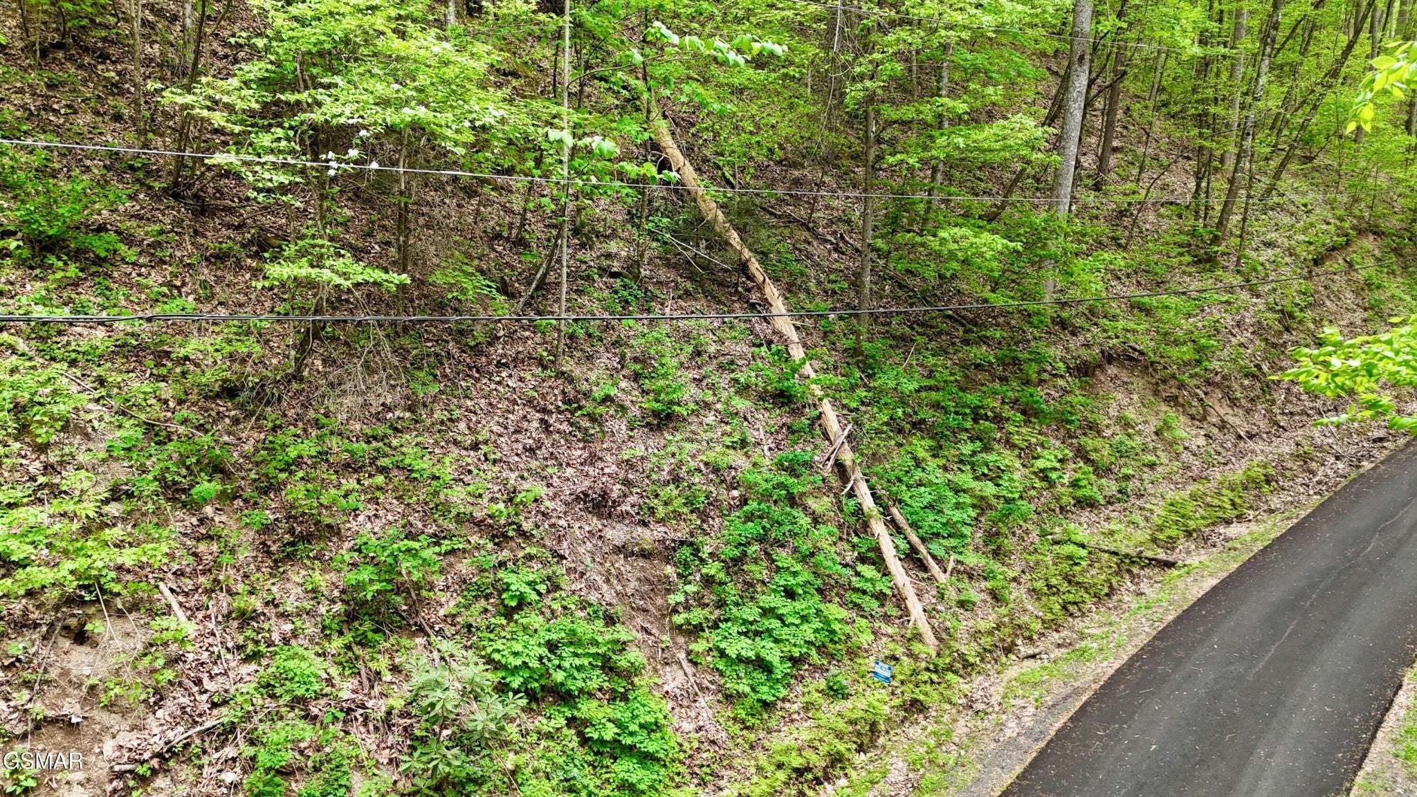 27 Black Walnut Flats Road
