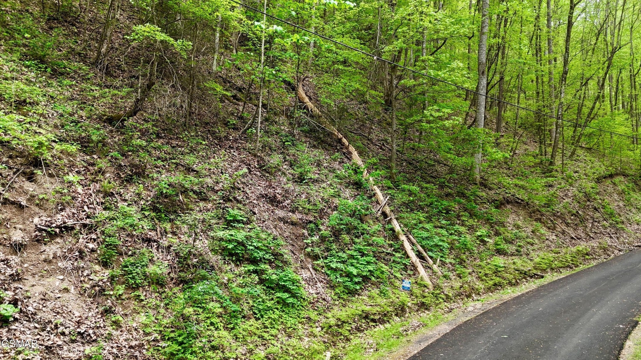 27 Black Walnut Flats Road