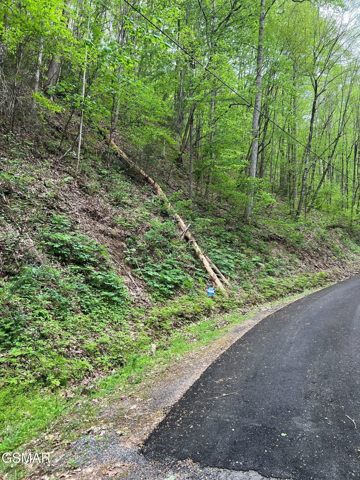 27 Black Walnut Flats Road