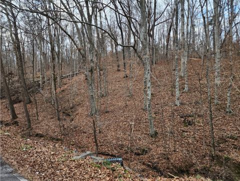 0 West Garretts Creek Road Westmoreland TN 37186