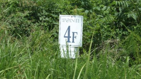 4 F Trout Lane Hilham TN 38568