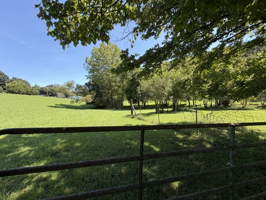 BIG CREEK RD, MADISONVILLE, TN 37354 - Image 63eb41a0eeedf8ac3ce2ee631a4882e5/1414828253