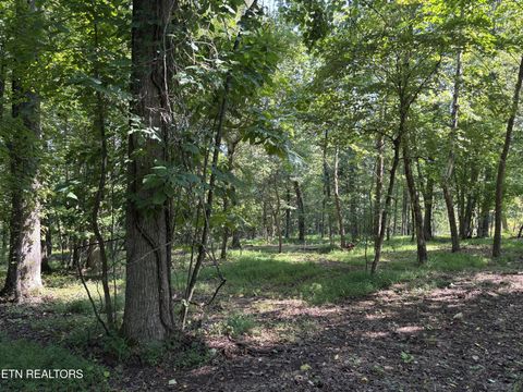 371 Walking Horse Tr Rockwood TN 37854