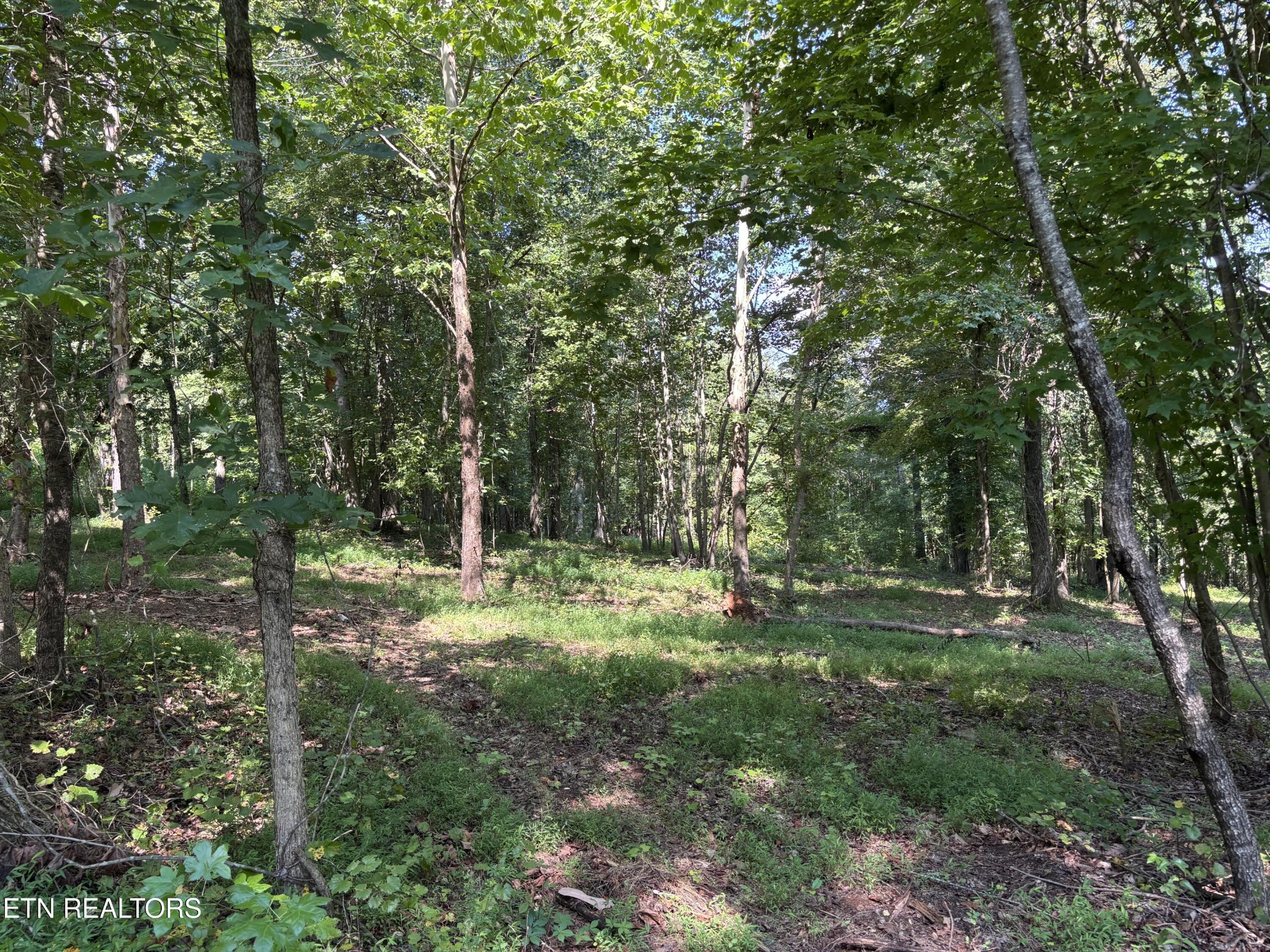 371 Walking Horse Tr