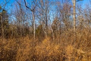 0 White Oak Rd