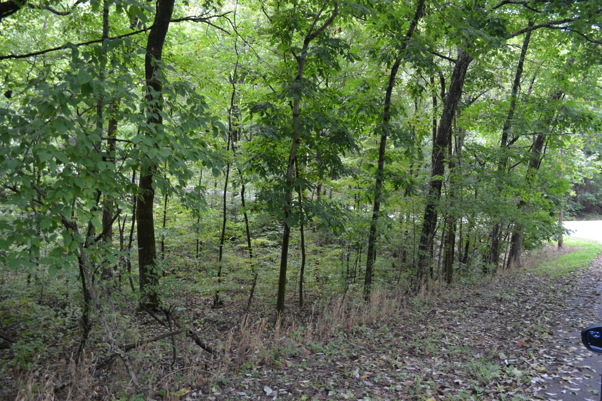 Photo 1 of 15 — 0 Pond Drive, Gallatin, TN 37066