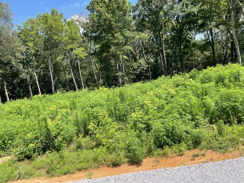 0 Hidden Hills Lane Summertown TN 38483