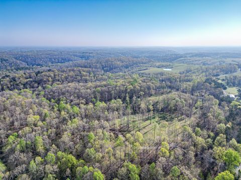 0 Pinewood Rd Nunnelly TN 37137