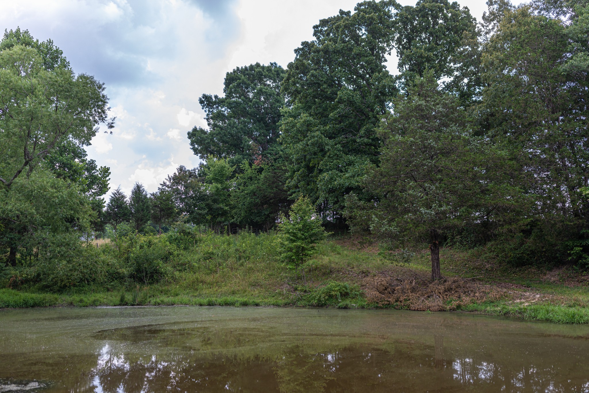 2331 Pleasant Grove Rd