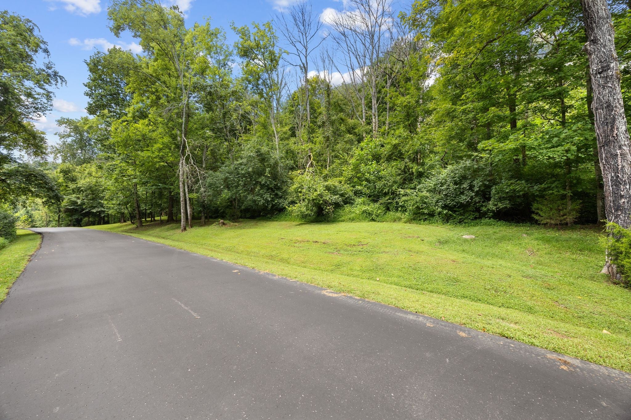 4101 Wallingford Way, Franklin TN 37069 0-bed lot, photo 4 of 28