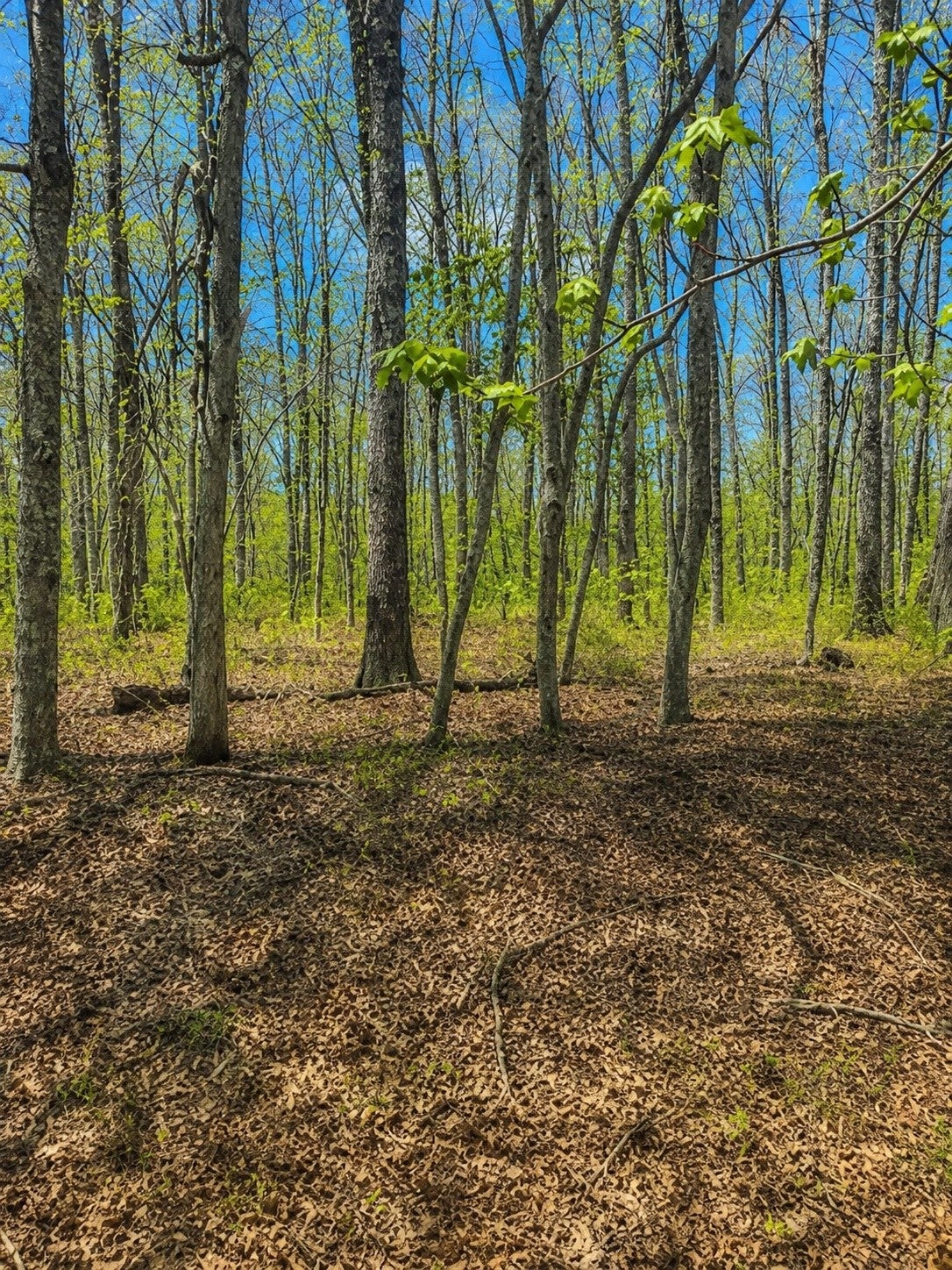 0 Doe Creek Lake Dr