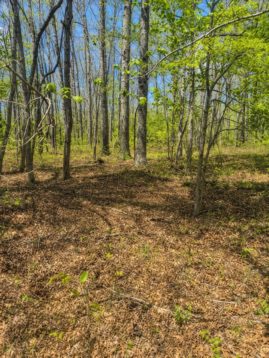0 Doe Creek Lake Dr