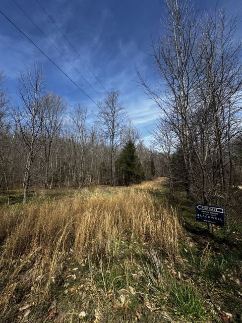 301 Bobcat Rd Linden TN 37096