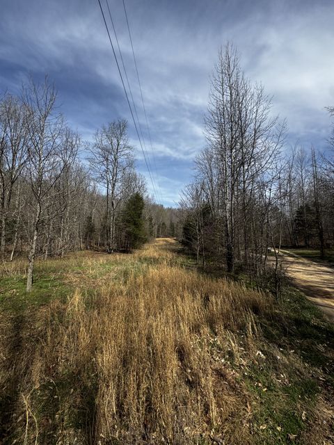 301 Bobcat Rd Linden TN 37096