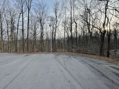 0 Still House Ct White House TN 37188