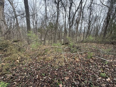 1915 Appomattox Dr Lebanon TN 37087