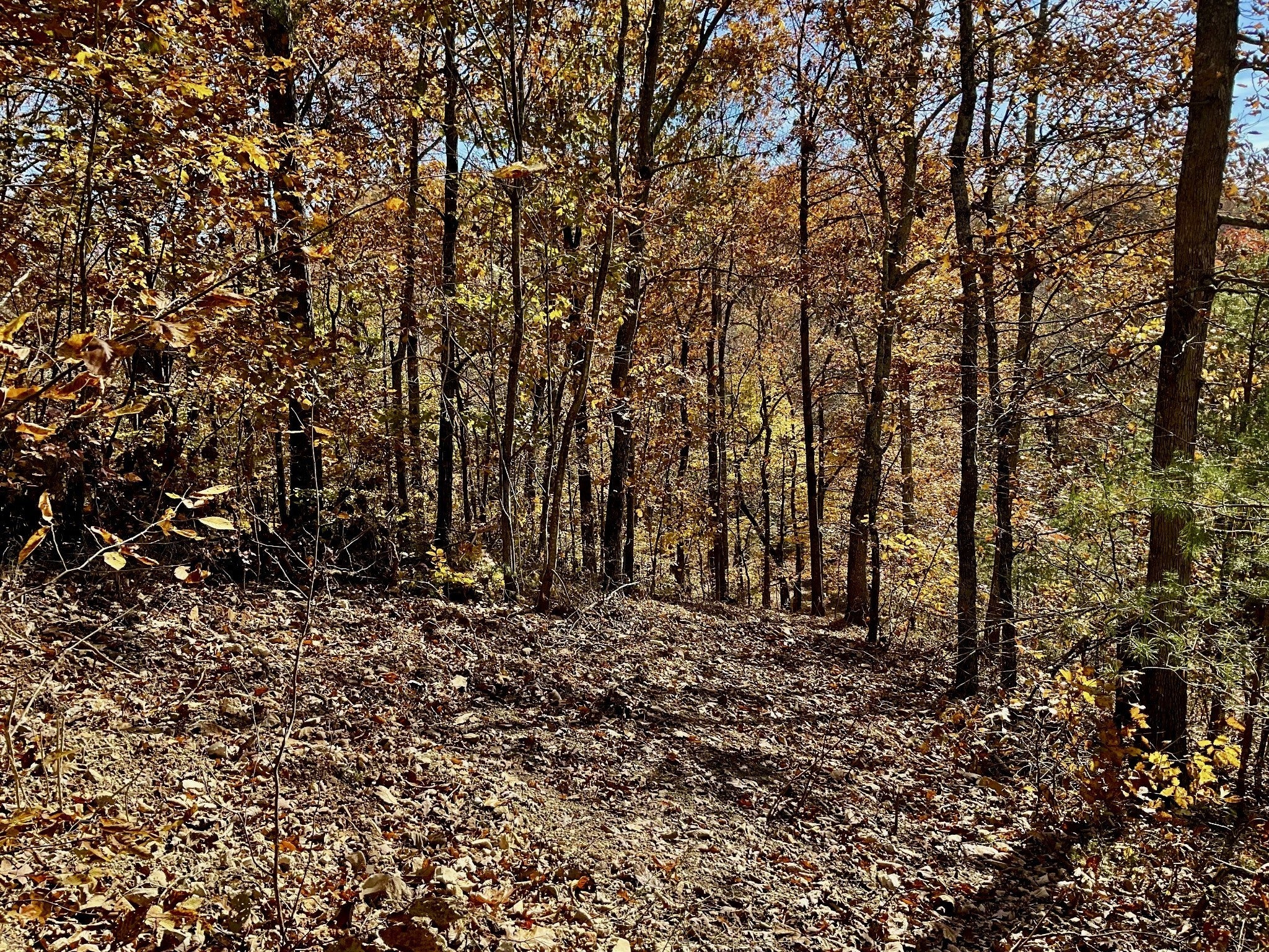 0 Forrest Crossing