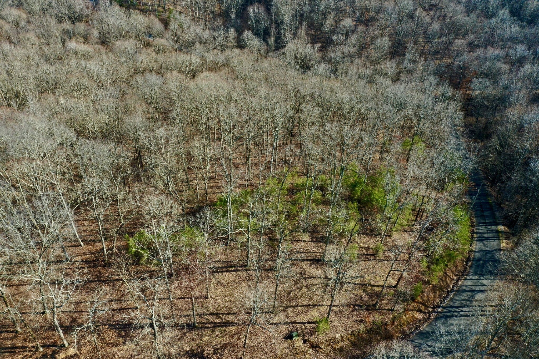 0 Forrest Crossing