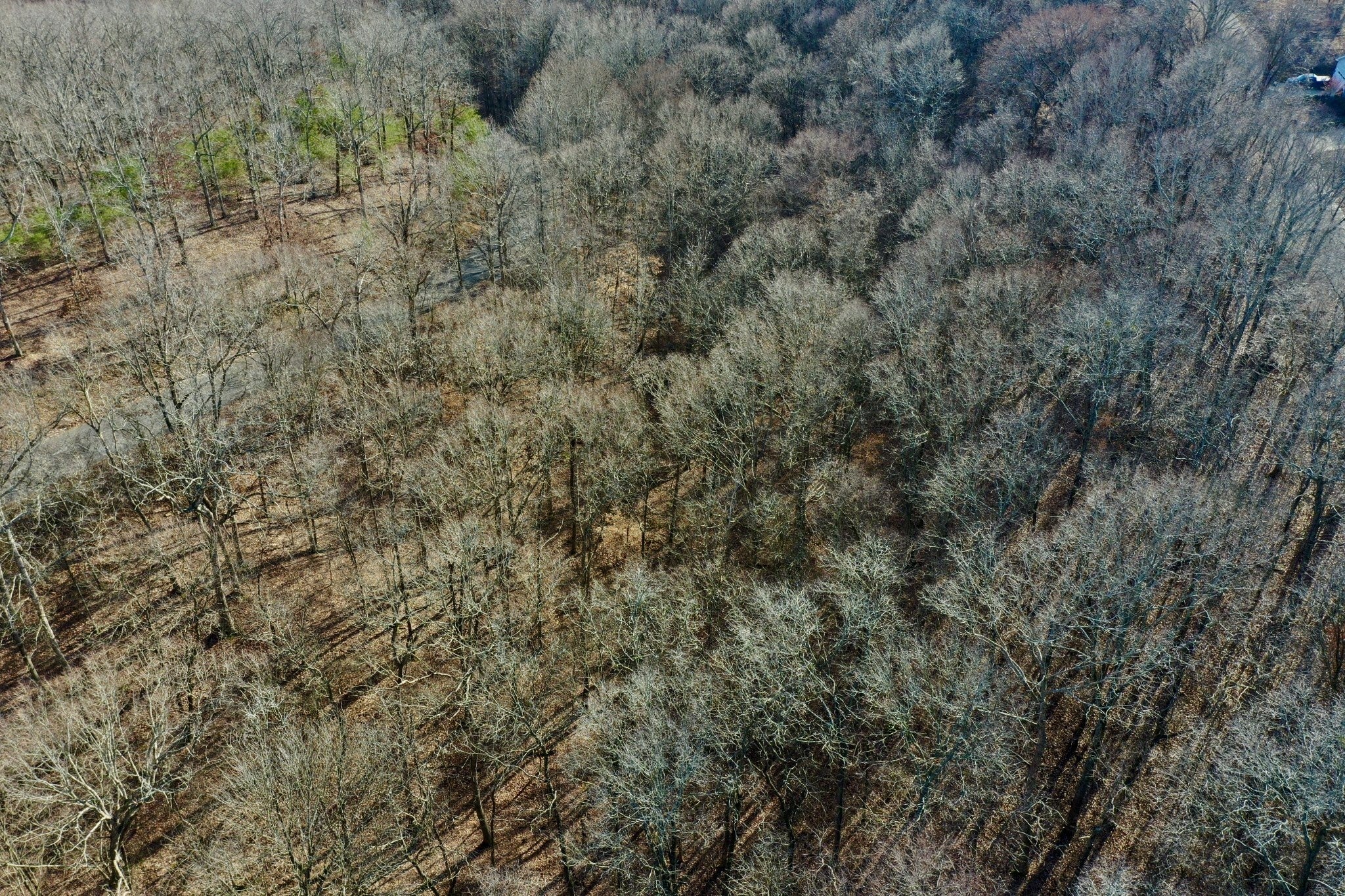 0 Forrest Crossing
