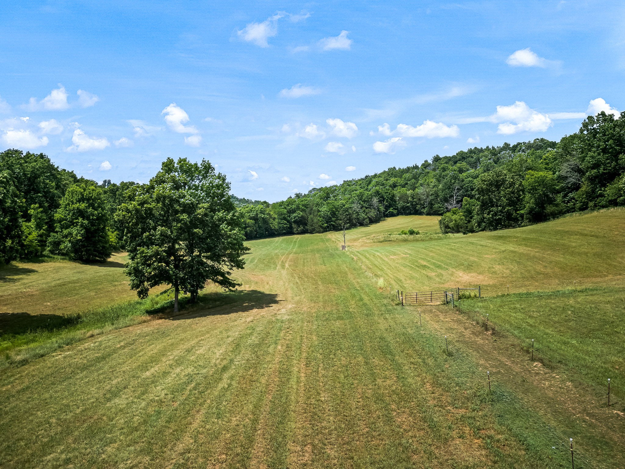 Photo 4 of 19 of 93 Martin Hollow Rd land