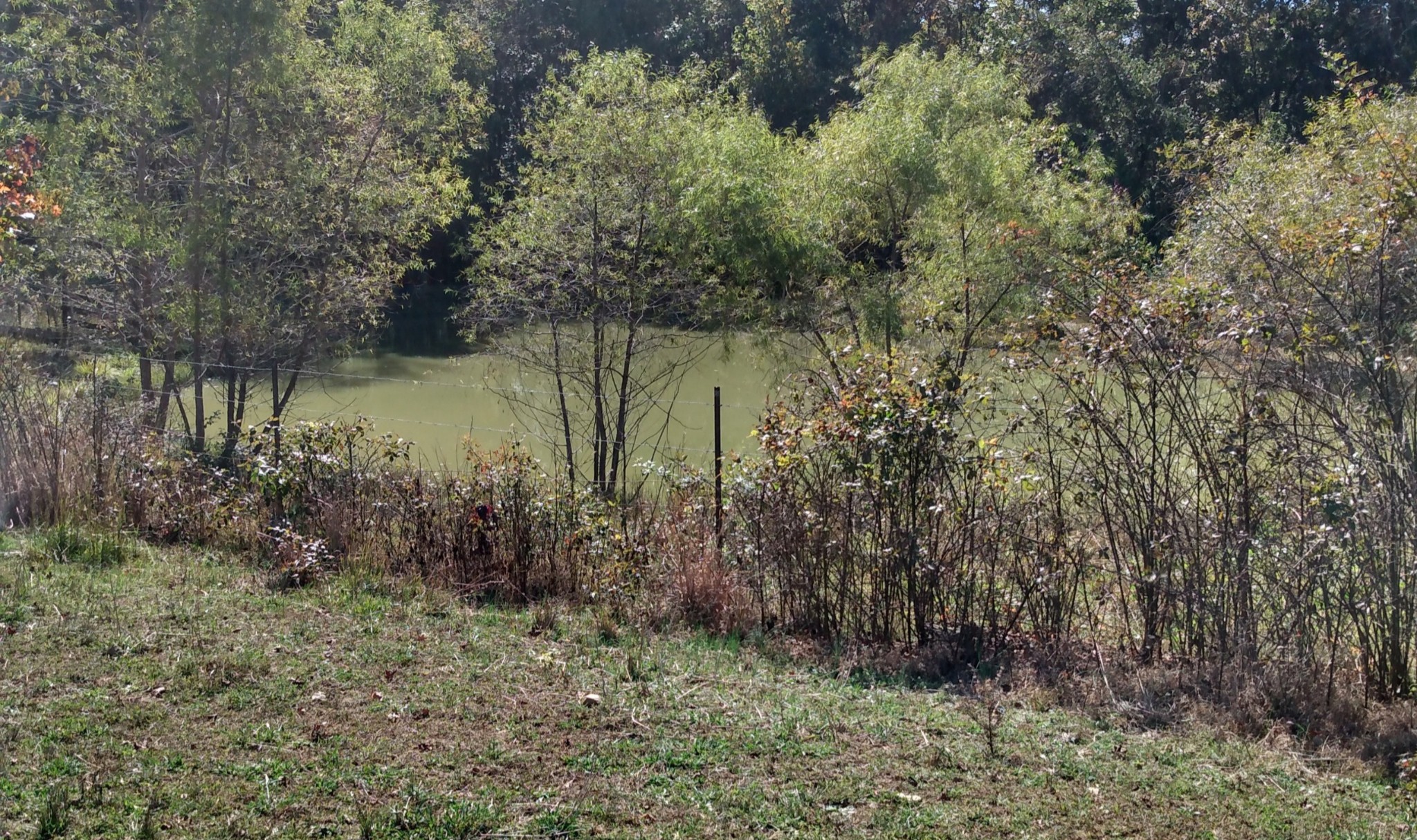 0 Lockertsville Road