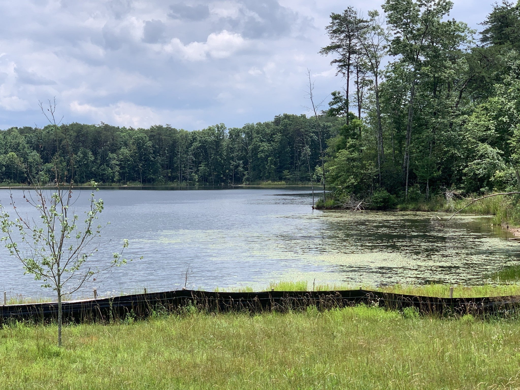 312 Hemlock Cove