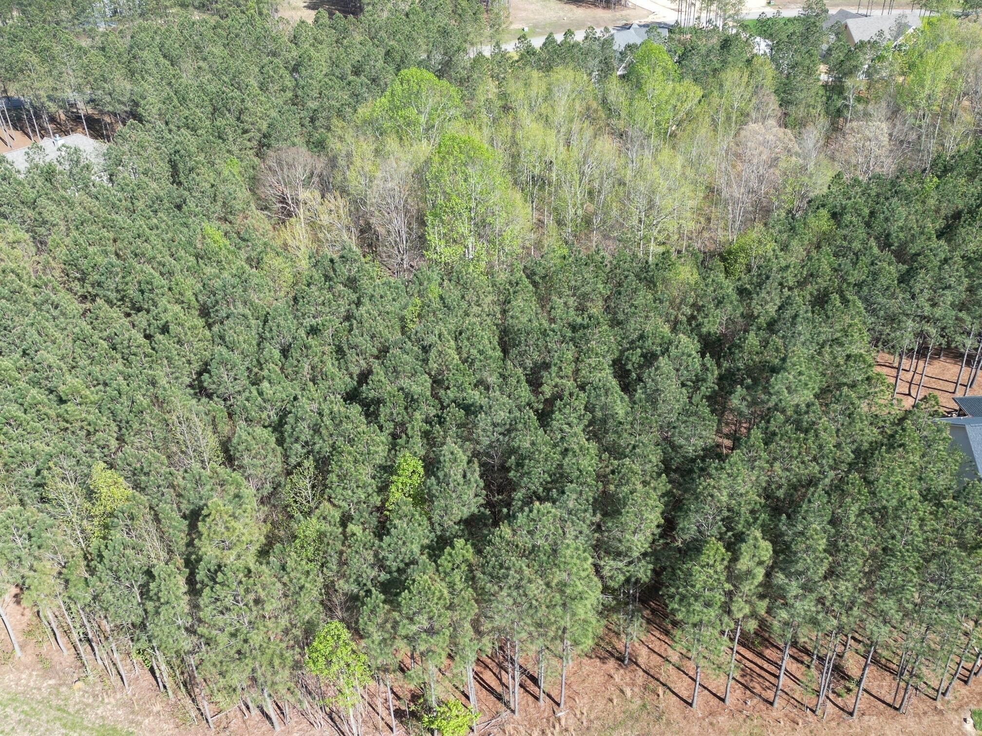 3261 Crockett Pointe