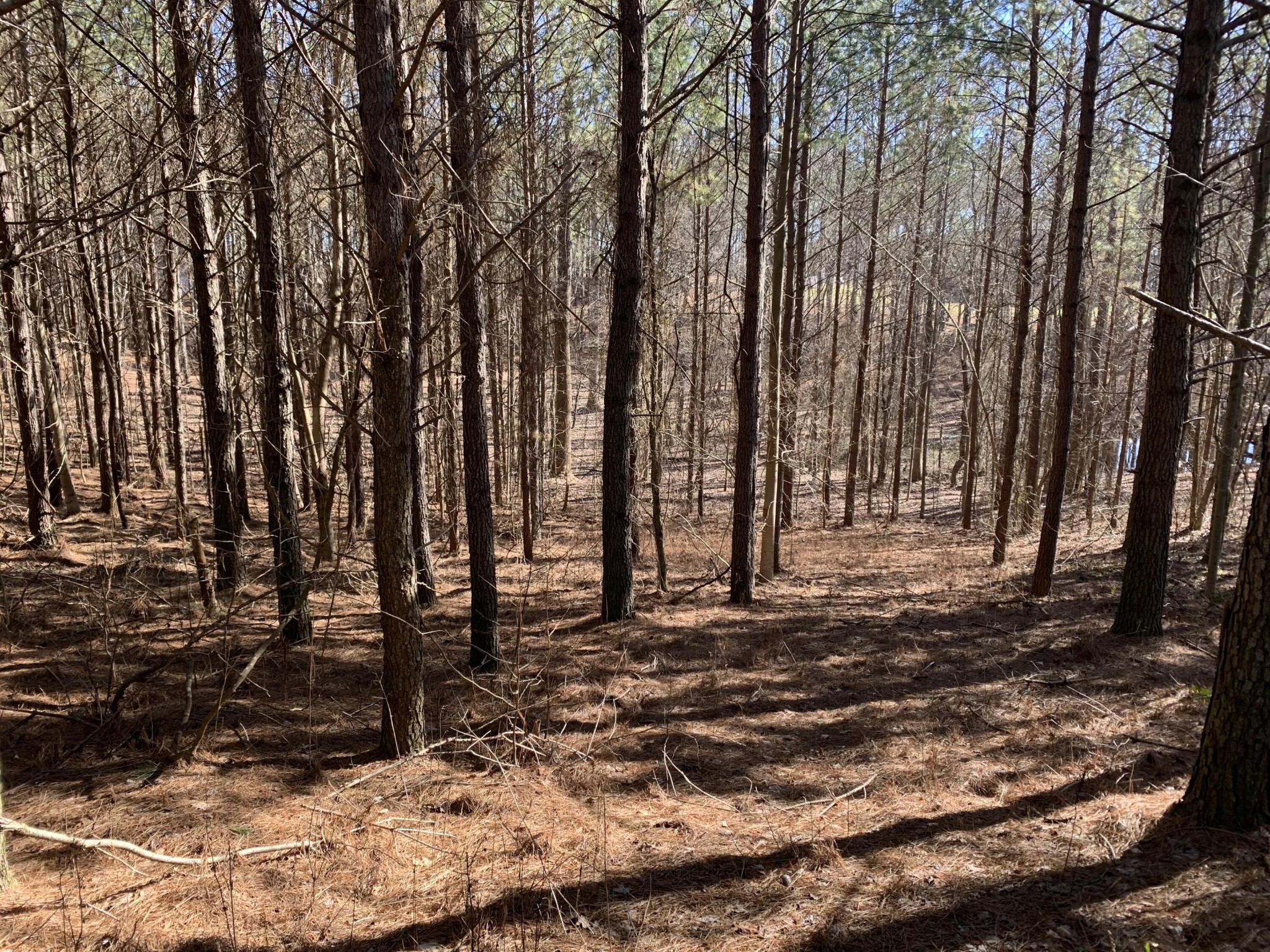 3261 Crockett Pointe