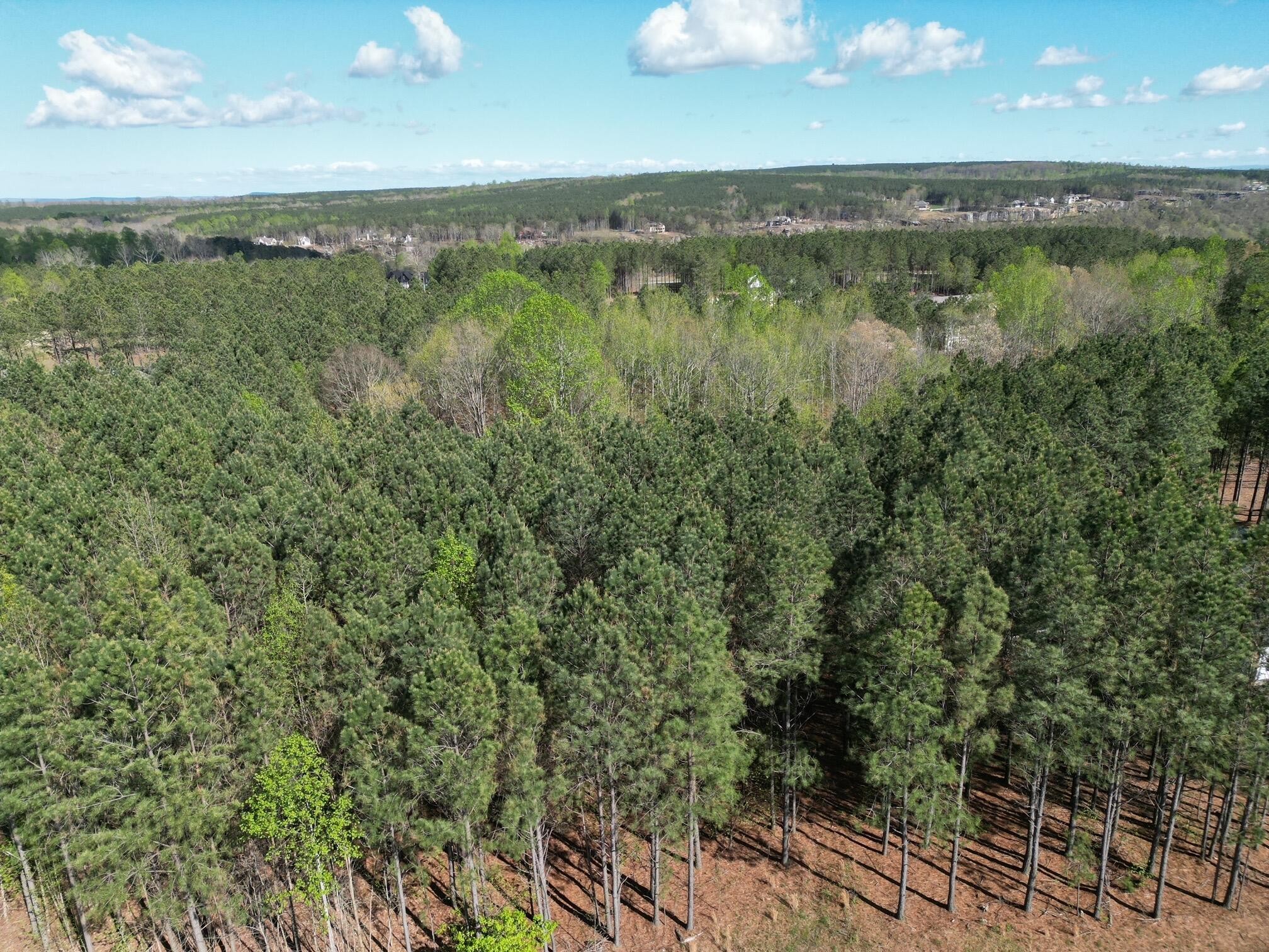 3261 Crockett Pointe