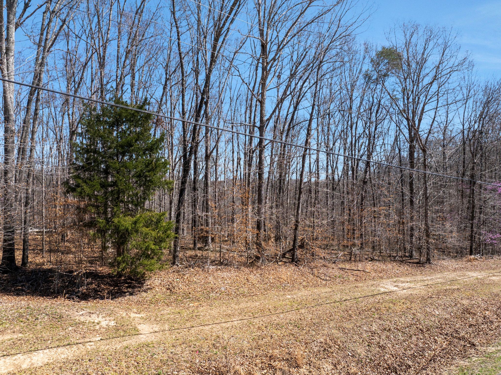 3344 Craggie Hope Road