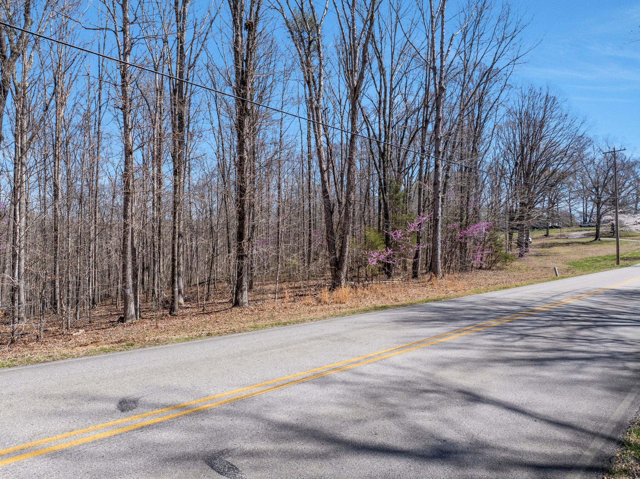 3344 Craggie Hope Road