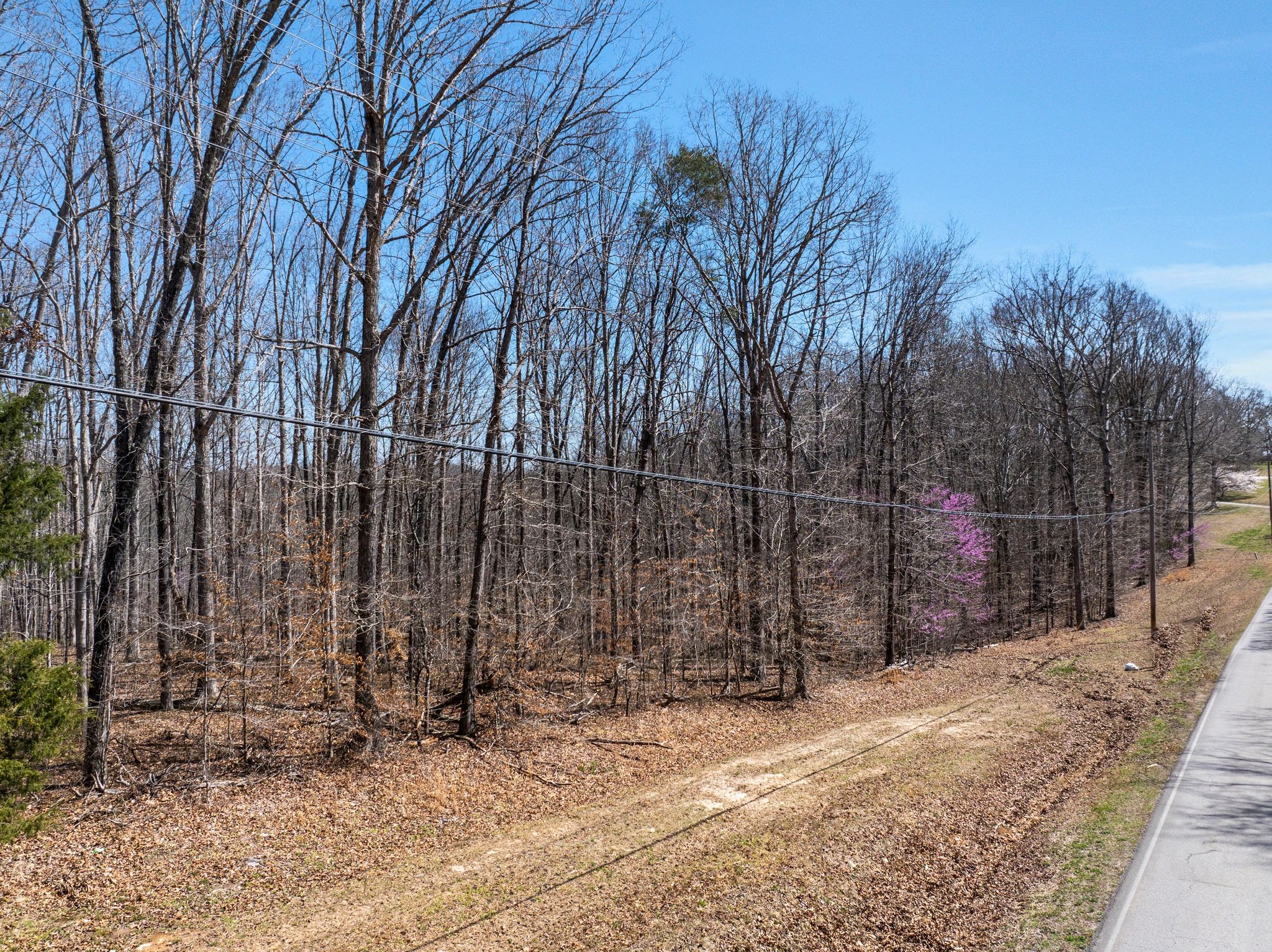 3344 Craggie Hope Road