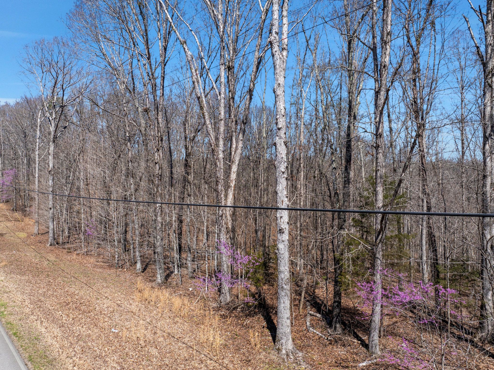 3344 Craggie Hope Road