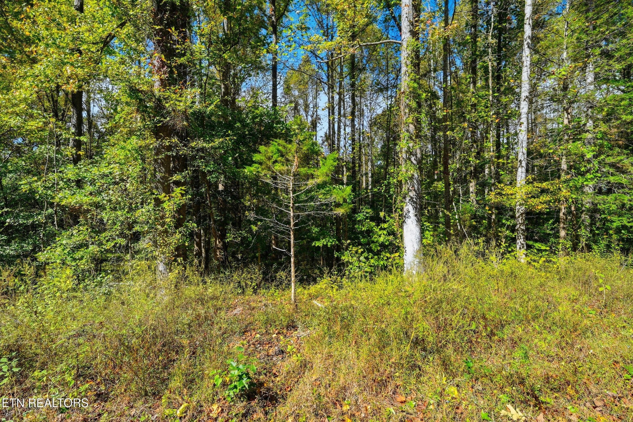 1 Timber Lake Drive