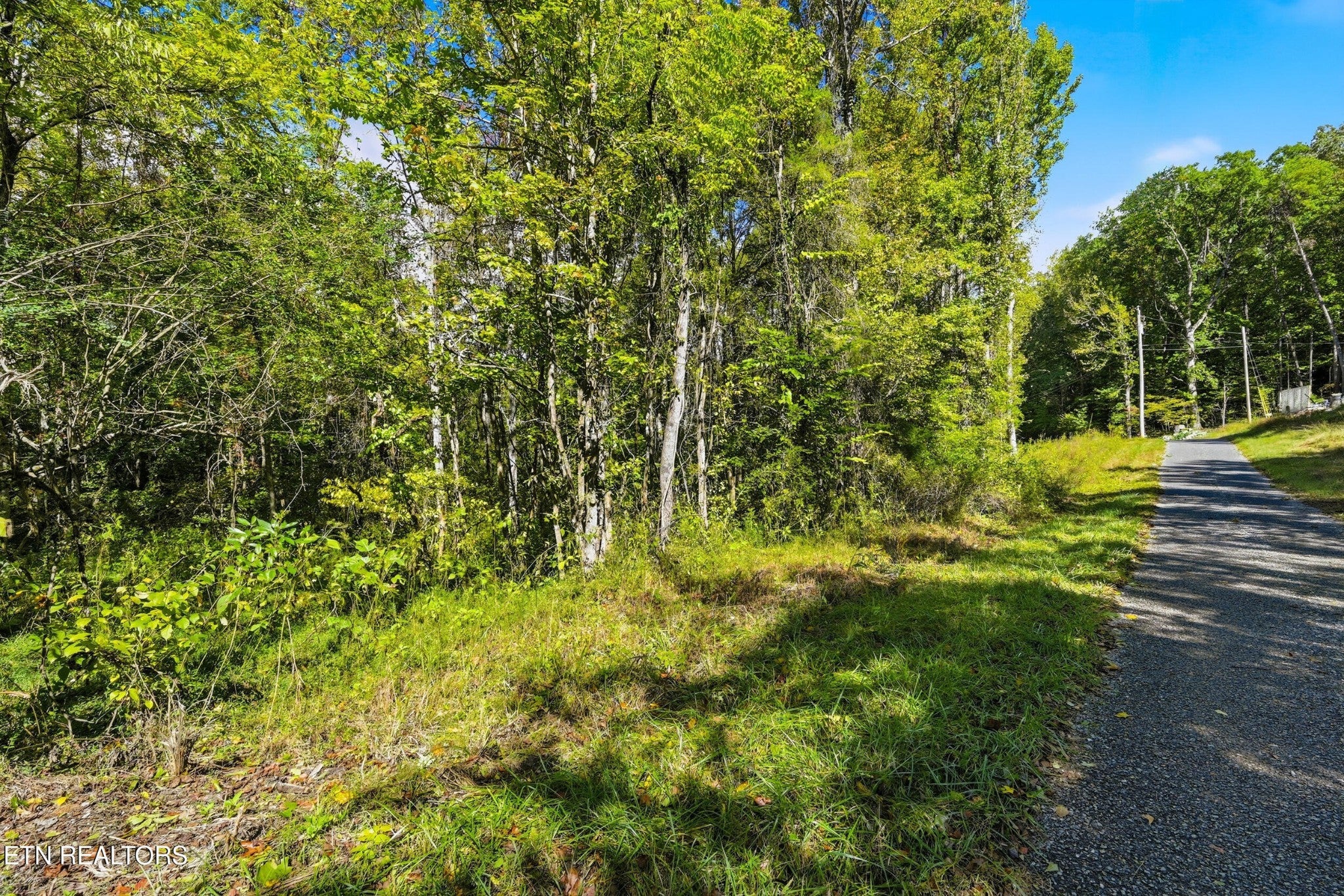 1 Timber Lake Drive
