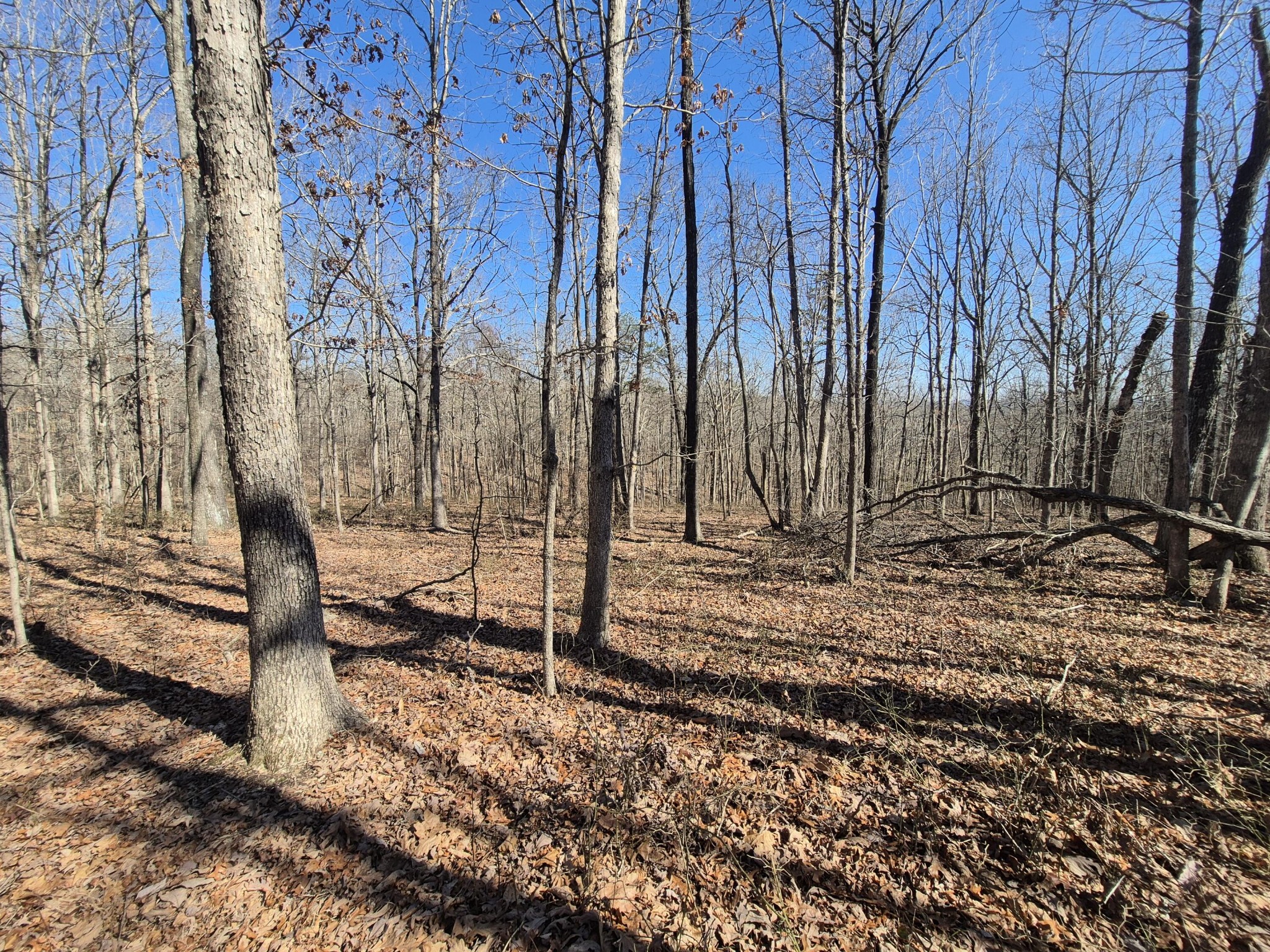 61 Teludachee Trail