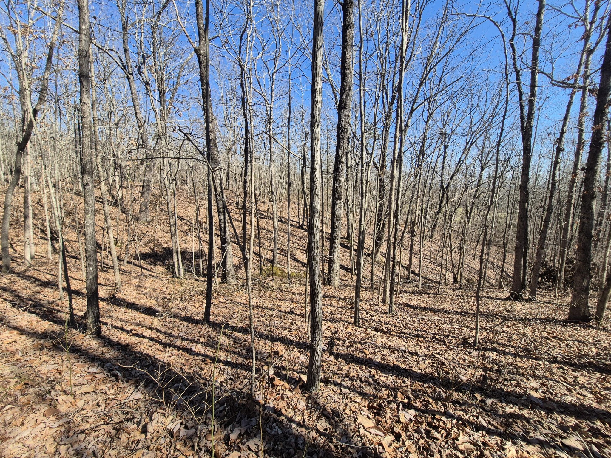 61 Teludachee Trail