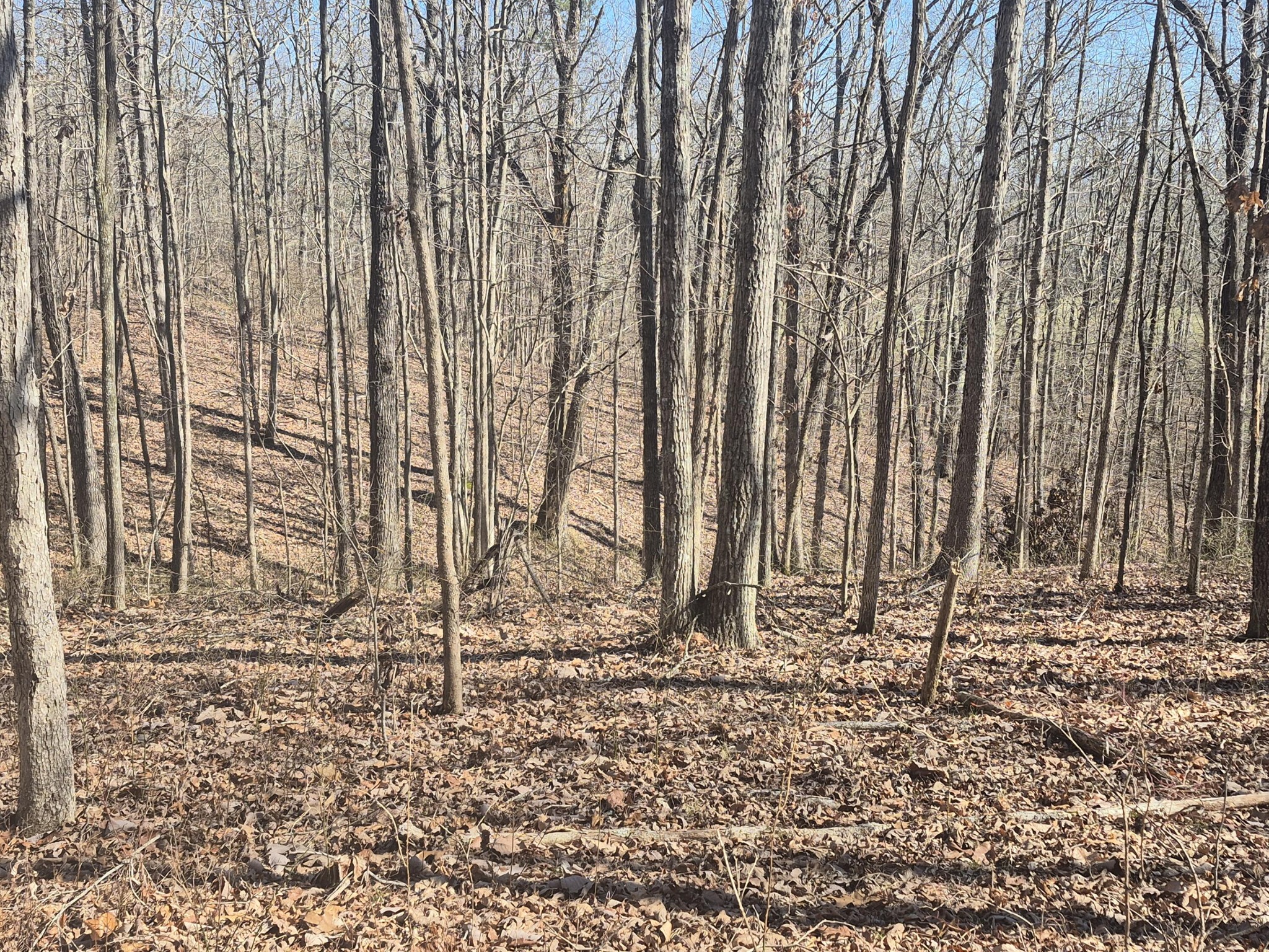 61 Teludachee Trail