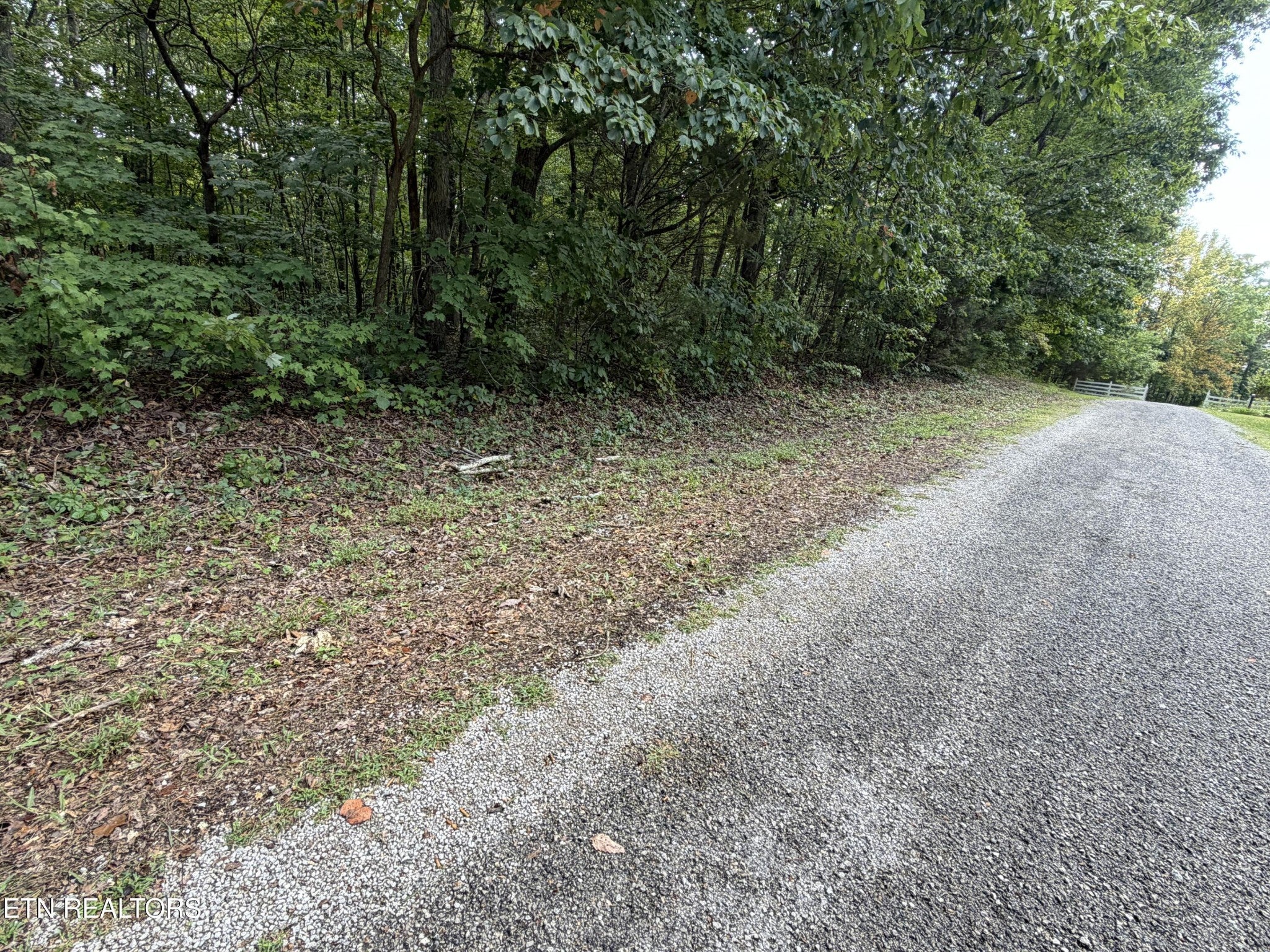 361 Long View Lane