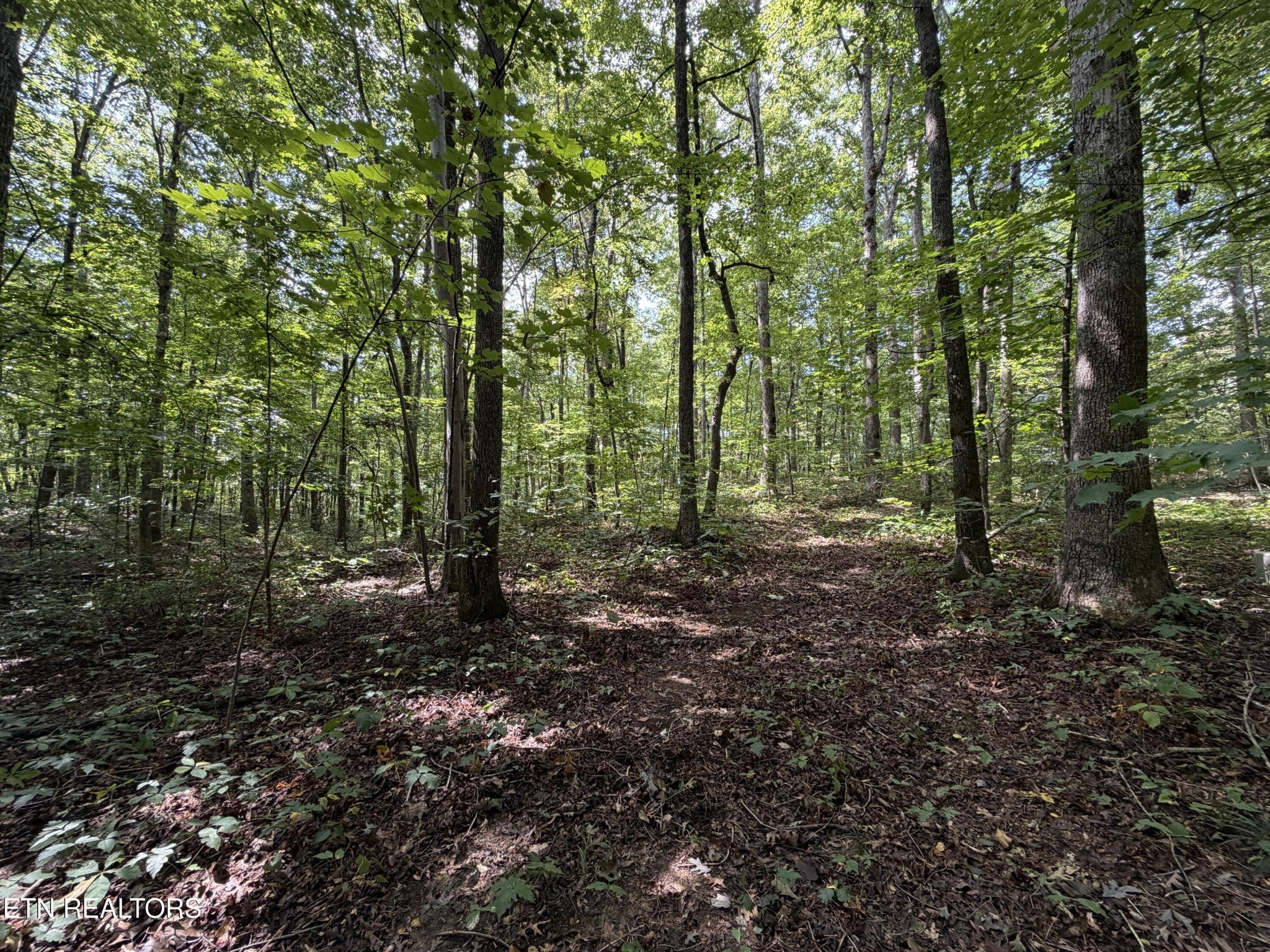 361 Long View Lane