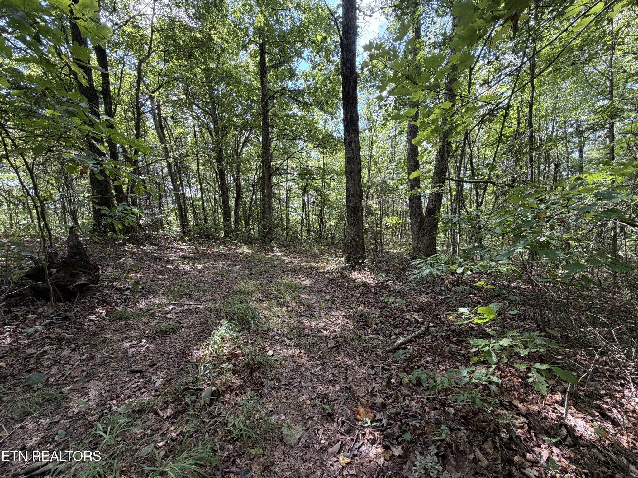 361 Long View Lane