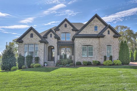 8019 Burning Tree Farms Rd Arrington TN 37014