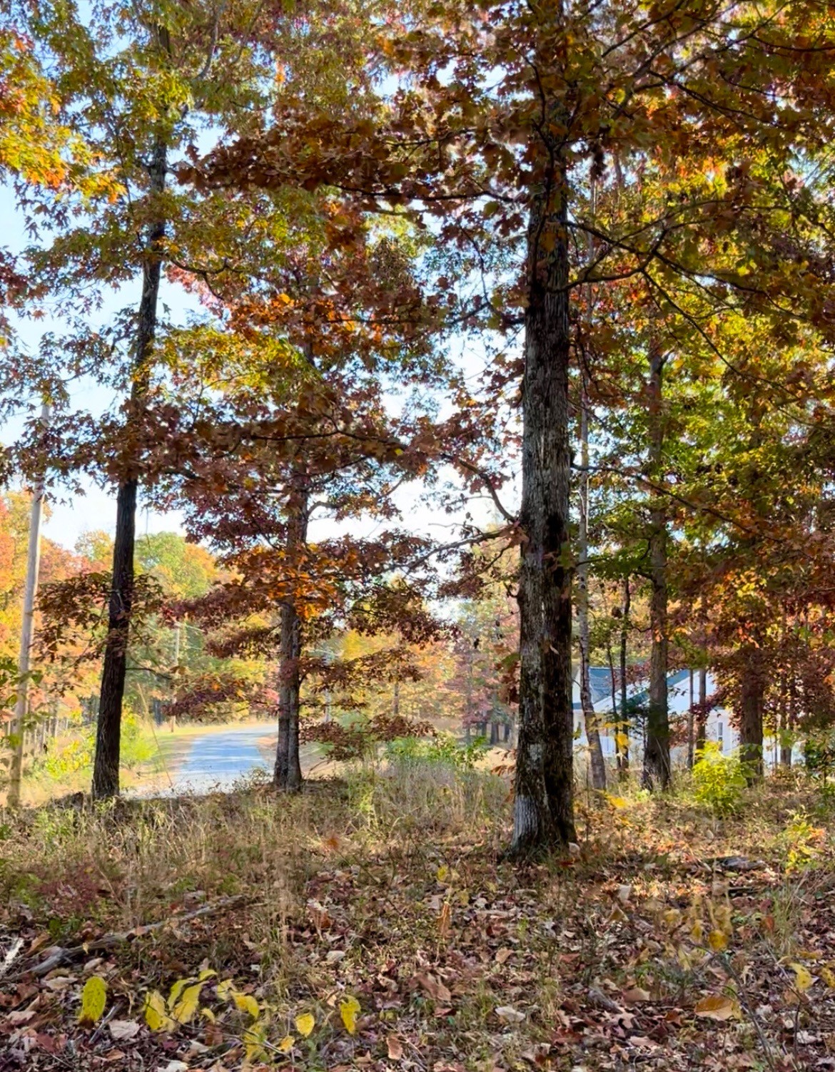 0 Hidden Highlands ct